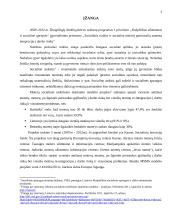 Europinis projektas socialinei atskirčiai mažinti; Socialinė atskirtis ir nedarbas 3 puslapis