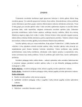 Socialinio pedagogo pagalba socialiai apleistiems vaikams 5 puslapis