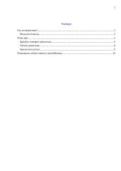 Planavimo proceso analizė organizacijoje 2 puslapis