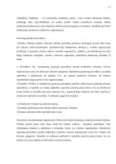 Planavimo proceso analizė organizacijoje 11 puslapis