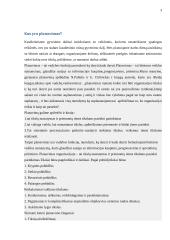 Planavimo proceso analizė organizacijoje 3 puslapis