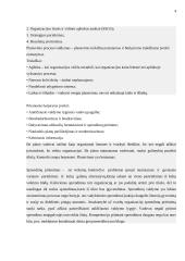 Planavimo proceso analizė organizacijoje 4 puslapis