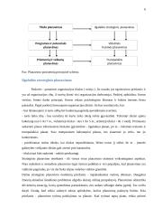 Planavimo proceso analizė organizacijoje 6 puslapis