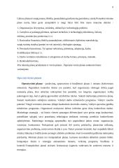 Planavimo proceso analizė organizacijoje 9 puslapis