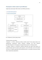 Planavimo proceso analizė organizacijoje 10 puslapis