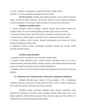 Vaikų draudimas 17 puslapis