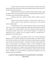 Vaikų draudimas 19 puslapis