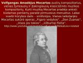 Klasicizmas pristatymas 14 puslapis