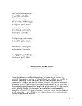 Referatas Liaudies dainos 5 puslapis