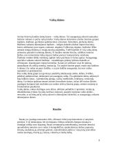 Referatas Liaudies dainos 7 puslapis