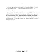 Konstitucinės teisės vieta nacionalinėje sistemoje 13 puslapis