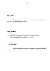 Konstitucinės teisės vieta nacionalinėje sistemoje 3 puslapis