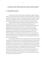 Konstitucinės teisės vieta nacionalinėje sistemoje 8 puslapis