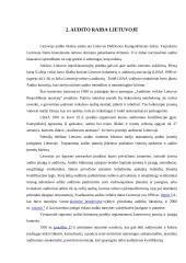 Audito raida 3 puslapis