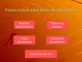 Fizinio krūvio įtaka nėštumo laikotarpiui 4 puslapis