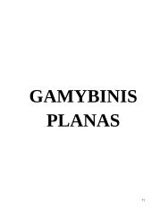 Verslo planas UAB ,,Disco Pica“ 11 puslapis