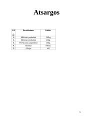 Verslo planas UAB ,,Disco Pica“ 14 puslapis