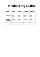 Verslo planas UAB ,,Disco Pica“ 9 puslapis