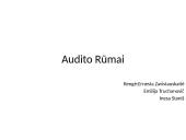 Audito Rūmai