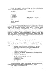 Referatas skaitymo procesas 4 puslapis