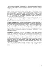 Referatas skaitymo procesas 7 puslapis