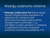 Marketingo logistika skaidrės 8 puslapis