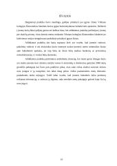 Apskaitos baigiamosios praktikos ataskaita 13 puslapis