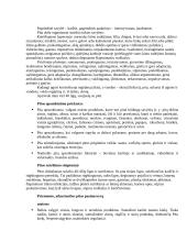 Indijos orientalistika 11 puslapis