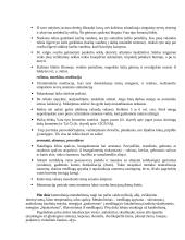 Indijos orientalistika 10 puslapis