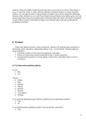 Ar lygios mokymosi galimybės miesto ir kaimo mokyklose? 11 puslapis