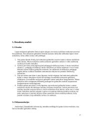 Ar lygios mokymosi galimybės miesto ir kaimo mokyklose? 17 puslapis