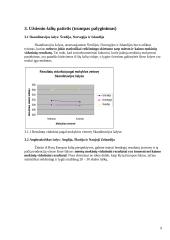 Ar lygios mokymosi galimybės miesto ir kaimo mokyklose? 9 puslapis