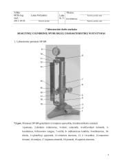 Mašinų elementai. 5 laboratorinių darbų ataskaitos 3 puslapis