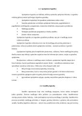 Logistikos referatas, sandėliavimas, priėmimas, išdavimas, surinkimas 4 puslapis