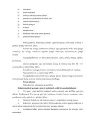 Logistikos referatas, sandėliavimas, priėmimas, išdavimas, surinkimas 6 puslapis