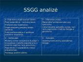 Modelių agentūros ,, Giraffe‘‘ strateginis planas 2011-2013 metams 7 puslapis