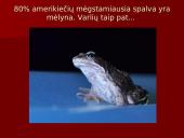 Amerikietiškas gyvenimo būdas 12 puslapis