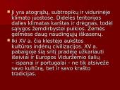 Amerikietiškas gyvenimo būdas 6 puslapis