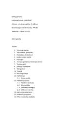 Verslo planas „Anilorak spintos“ 2 puslapis