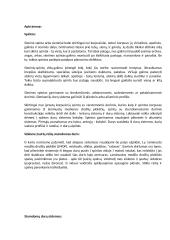 Verslo planas „Anilorak spintos“ 12 puslapis