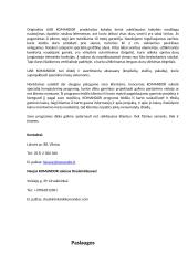 Verslo planas „Anilorak spintos“ 15 puslapis