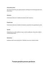 Verslo planas „Anilorak spintos“ 16 puslapis