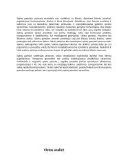 Verslo planas „Anilorak spintos“ 17 puslapis