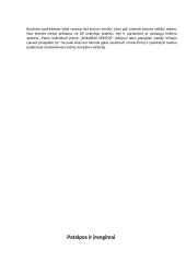 Verslo planas „Anilorak spintos“ 18 puslapis