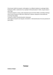 Verslo planas „Anilorak spintos“ 20 puslapis