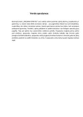 Verslo planas „Anilorak spintos“ 3 puslapis