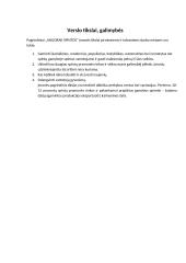 Verslo planas „Anilorak spintos“ 4 puslapis