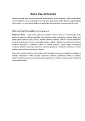 Verslo planas „Anilorak spintos“ 5 puslapis