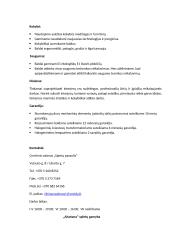 Verslo planas „Anilorak spintos“ 10 puslapis