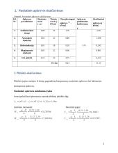 Tilto projektavimas 3 puslapis